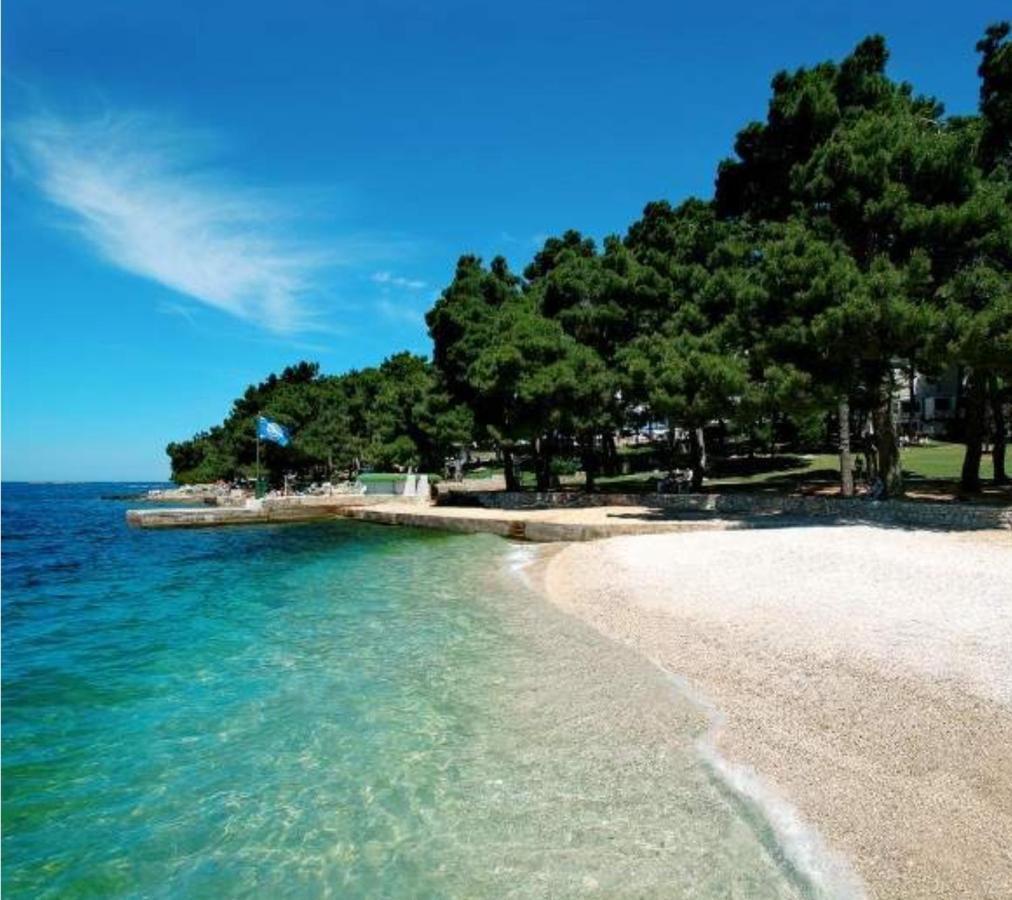 New!!! New Riva Luxury One - With Sunny Terrace & Big Garden Porec